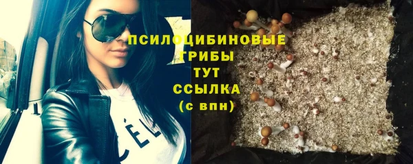 меф Алексин
