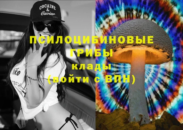 меф Алексин